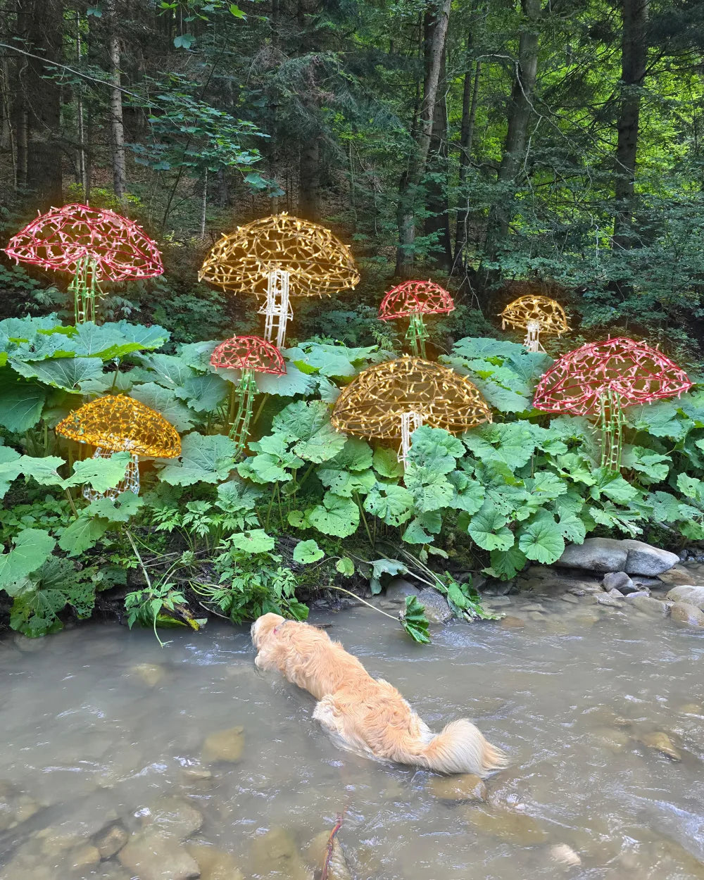 Alganic Light Mushrooms – two grown forms