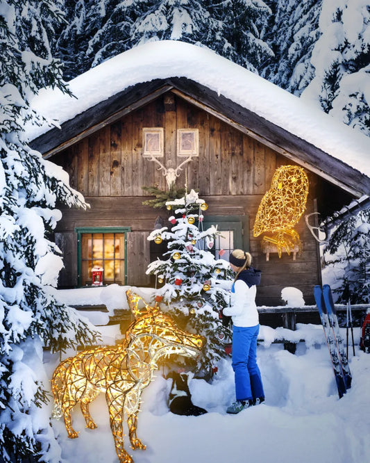 Alganic Licht-Fuchs – schlanke Figur in stillem Schritt