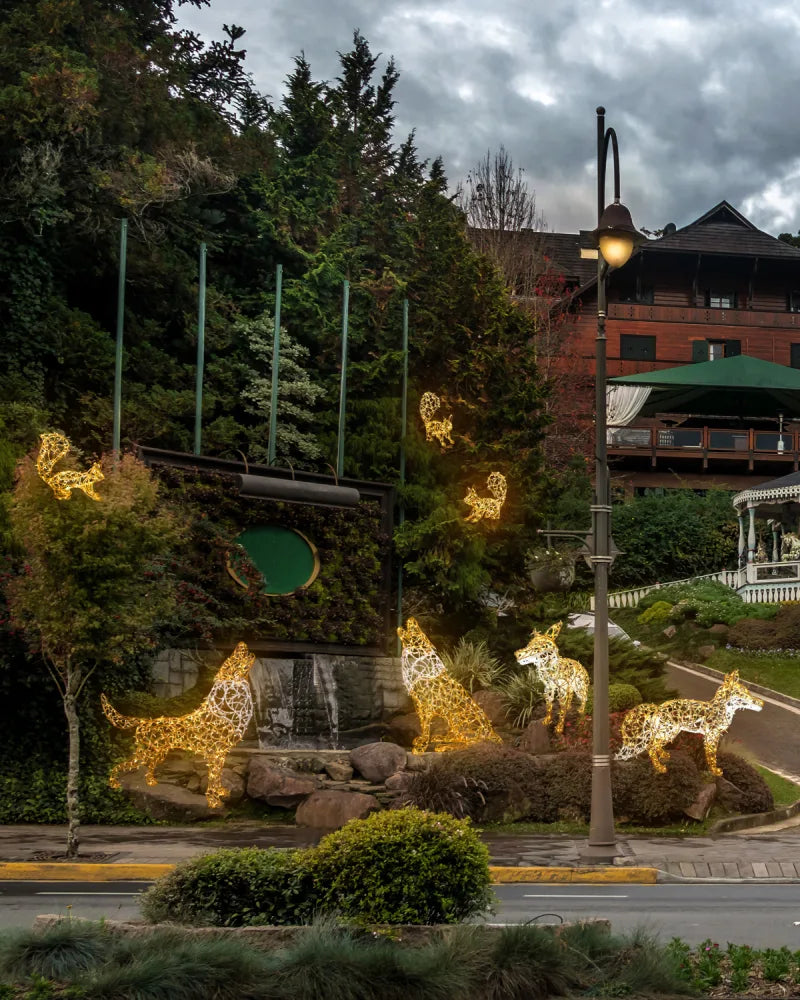 Leuchtobjekt Wolf – kraftvoll & klar