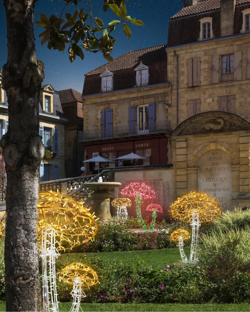 Alganic Leuchtpilze – zwei gewachsene Formen